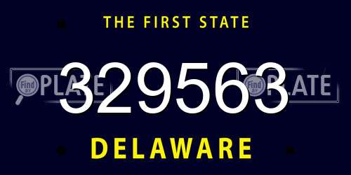 329563 Delaware License Plate