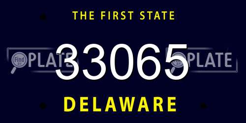 33065 Delaware License Plate