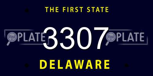 3307 Delaware License Plate