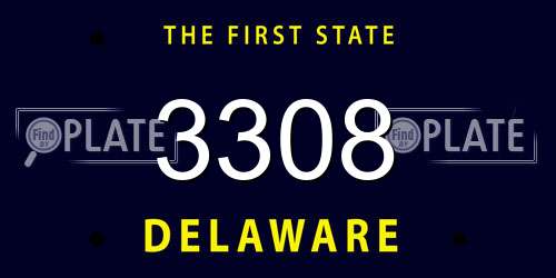 3308 Delaware License Plate