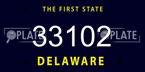 33102 Delaware License Plate