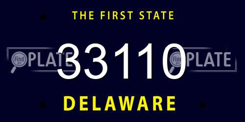 33110 Delaware License Plate