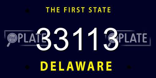 33113 Delaware License Plate