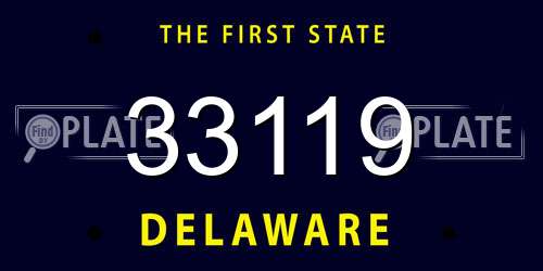 33119 Delaware License Plate