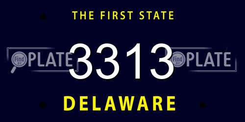 3313 Delaware License Plate
