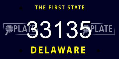 33135 Delaware License Plate
