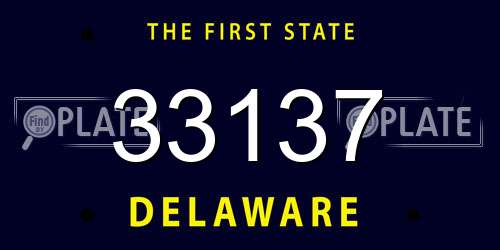 33137 Delaware License Plate