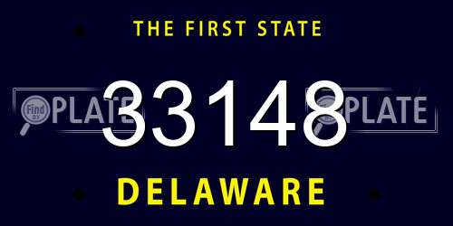 33148 Delaware License Plate
