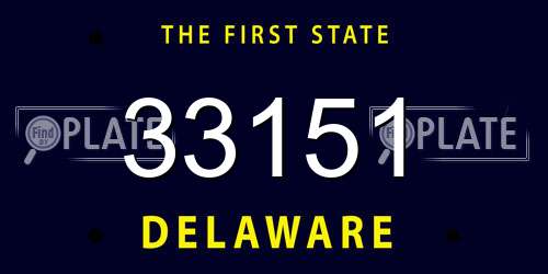 33151 Delaware License Plate
