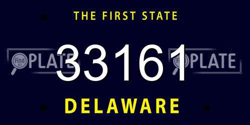 33161 Delaware License Plate