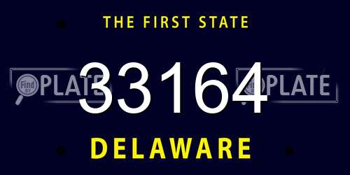 33164 Delaware License Plate
