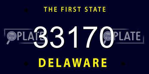 33170 Delaware License Plate