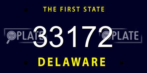 33172 Delaware License Plate