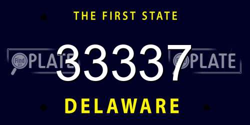 33337 Delaware License Plate
