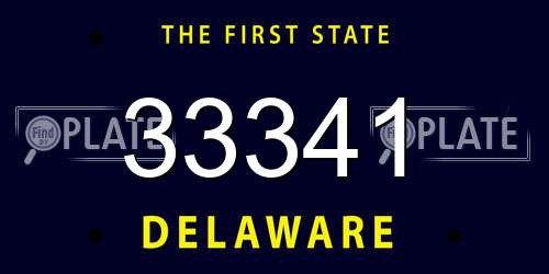 33341 Delaware License Plate