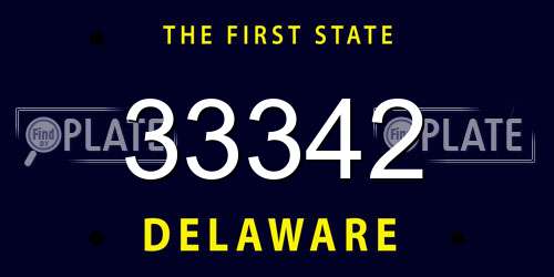 33342 Delaware License Plate