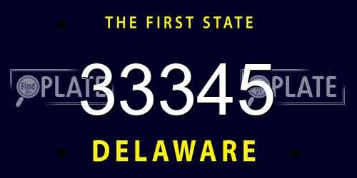 33345 Delaware License Plate