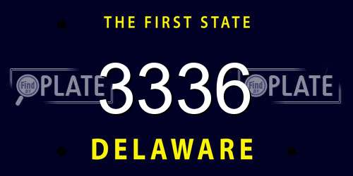 3336 Delaware License Plate
