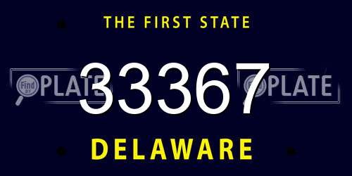 33367 Delaware License Plate