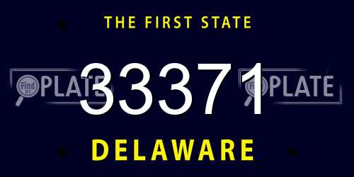 33371 Delaware License Plate