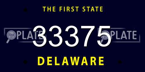 33375 Delaware License Plate