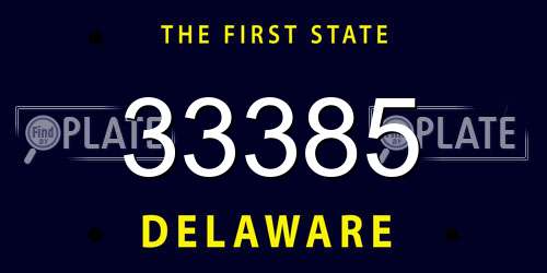 33385 Delaware License Plate