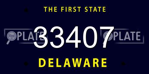 33407 Delaware License Plate