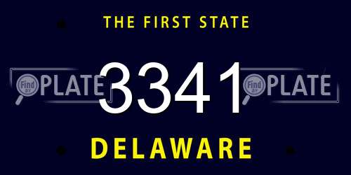 3341 Delaware License Plate