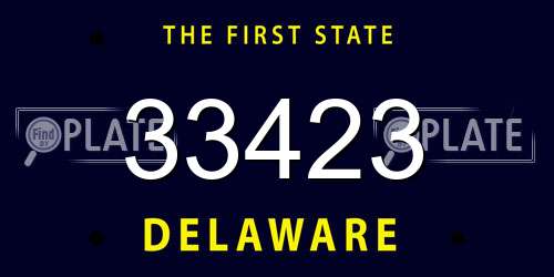 33423 Delaware License Plate