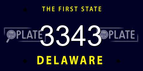 3343 Delaware License Plate