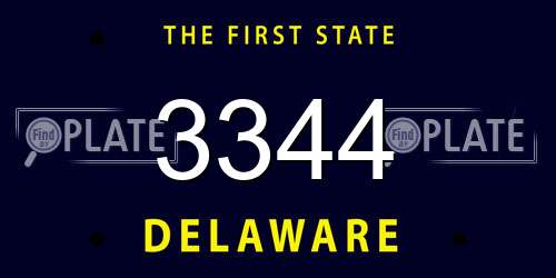 3344 Delaware License Plate