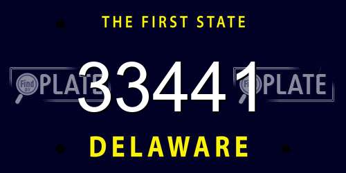 33441 Delaware License Plate