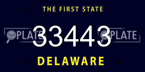 33443 Delaware License Plate