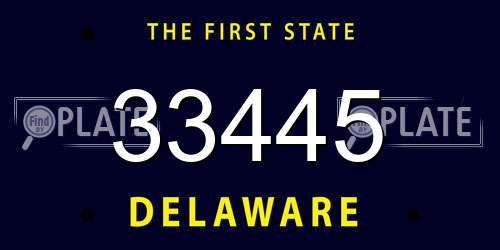 33445 Delaware License Plate