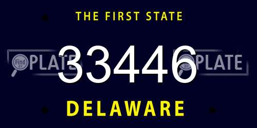 33446 Delaware License Plate