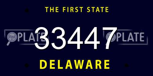 33447 Delaware License Plate