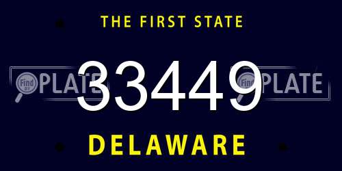 33449 Delaware License Plate