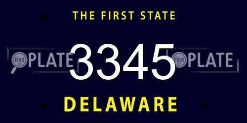 3345 Delaware License Plate