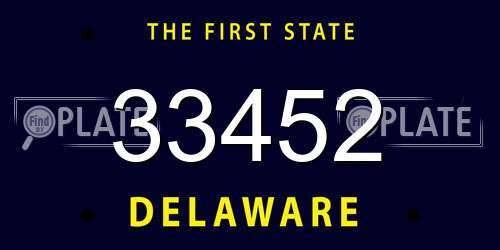 33452 Delaware License Plate