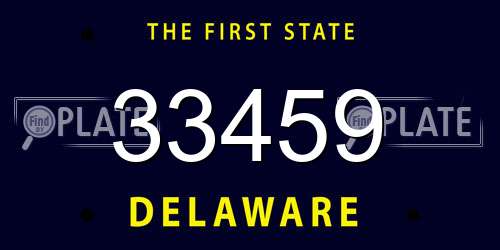 33459 Delaware License Plate