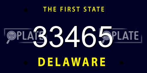 33465 Delaware License Plate