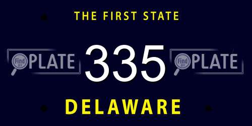 335 Delaware License Plate