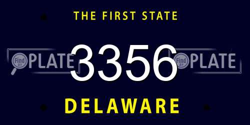 3356 Delaware License Plate