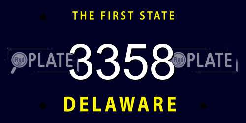 3358 Delaware License Plate