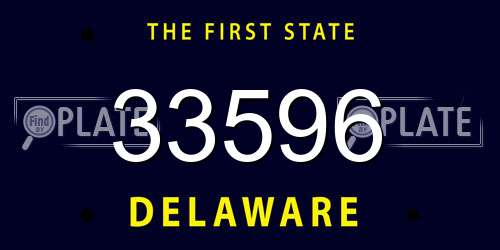 33596 Delaware License Plate