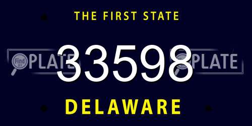 33598 Delaware License Plate