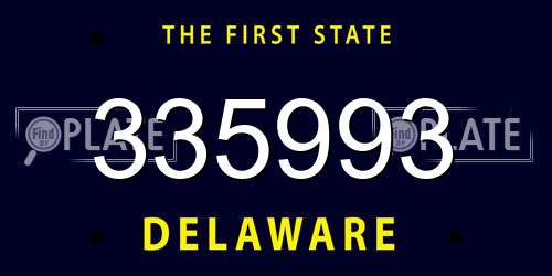 335993 Delaware License Plate