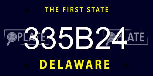 335B24 Delaware License Plate