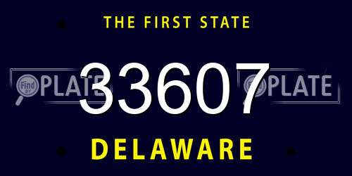 33607 Delaware License Plate