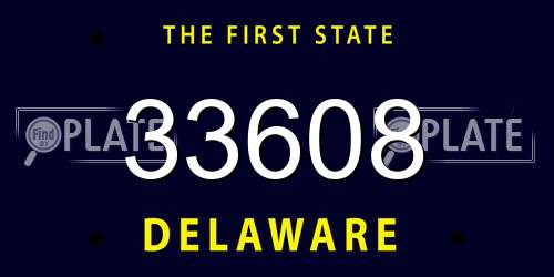 33608 Delaware License Plate